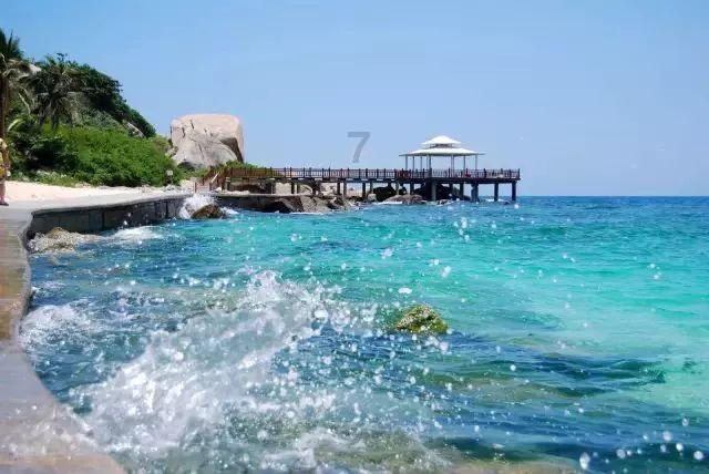 黄河流域水鸟栖息地保护仍有空缺,专家建议:推动完善体系建设